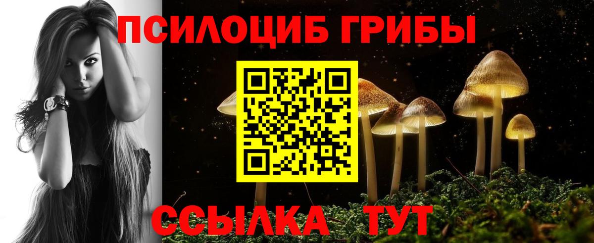 Псилоцибиновые грибы GOLDEN TEACHER Миасс