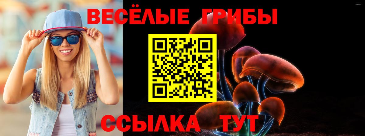 Псилоцибиновые грибы прущие грибы  Вход с VPN  Миасс  Галлюциногенные грибы MAGIC MUSHROOMS 